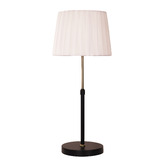 Zander Lighting Poppy Steel Adjustable Table Lamp
