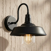 Zander Lighting Coulson Metal &amp; Glass Outdoor Wall Light