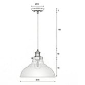 Zander Lighting Roche Glass Pendant Light