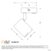 Zander Lighting Naples Single Adjustable Spotlight