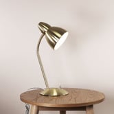 Zander Lighting Preedie Metal Desk Lamp