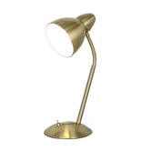 Zander Lighting Preedie Metal Desk Lamp