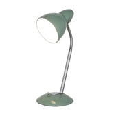 Zander Lighting Preedie Metal Desk Lamp
