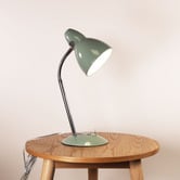 Zander Lighting Preedie Metal Desk Lamp