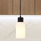 Zander Lighting Fargo Opal Glass Pendant Light