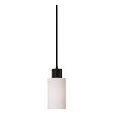 Zander Lighting Fargo Opal Glass Pendant Light