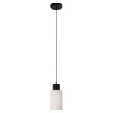 Zander Lighting Fargo Opal Glass Pendant Light