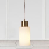 Zander Lighting Fargo Opal Glass Pendant Light