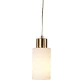 Zander Lighting Fargo Opal Glass Pendant Light