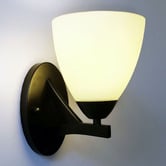 Zander Lighting Orford Opal Glass Wall Light