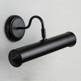 Zander Lighting Rocca Steel Gooseneck Picture Wall Light