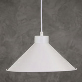 Zander Lighting Hector Metal Pendant Light