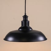 Zander Lighting Quinn Steel Pendant Light