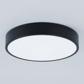 Zander Lighting Padma Steel LED Oyster Light