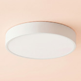 Zander Lighting Padma Steel LED Oyster Light