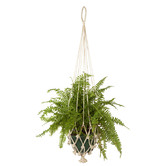 Home &amp; Lifestyle Natural Vibora Pot Hangers