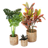 Home &amp; Lifestyle 3 Piece Ubud Hand Made Cane Planter Set