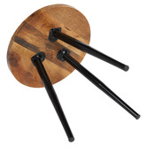Home &amp; Lifestyle Roma Mango Wood Side Table