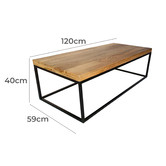 Home &amp; Lifestyle Jal Mango Wood Coffee Table