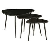 Home &amp; Lifestyle 3 Piece Paulo Nesting Coffee Table Set