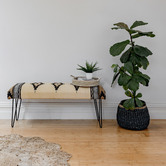 Home &amp; Lifestyle Mira Upholstered Bench