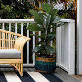 Home &amp; Lifestyle Black Veranda Nyoma Power-Loomed Outdoor Rug
