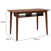 Home &amp; Lifestyle Odesa Writing Desk