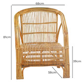 Home &amp; Lifestyle Lowell Rattan Cane Armchair