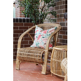 Home &amp; Lifestyle Lowell Rattan Cane Armchair
