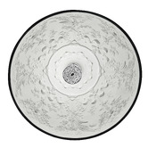 Lighting Avenue Space Pendant Light