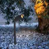 Lighting Avenue Sawyer Garden Spike LED Light