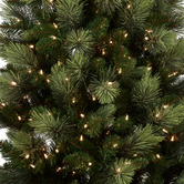 Enchanted &amp; Evergreen Nevin Carolina Pine LED Christmas Tree
