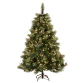 Enchanted &amp; Evergreen Nevin Carolina Pine LED Christmas Tree