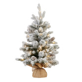 Enchanted &amp; Evergreen 61cm Bonitus LED Christmas Tree