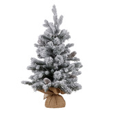 Enchanted &amp; Evergreen 61cm Bonitus LED Christmas Tree