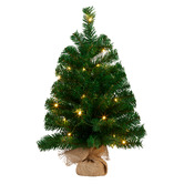 Enchanted &amp; Evergreen 61cm Lucas LED Christmas Tree
