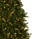 Enchanted &amp; Evergreen Nevada LED Christmas Tree