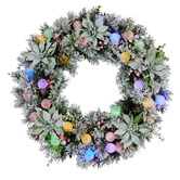 Enchanted &amp; Evergreen 61cm Snowy Crown Pine LED Christmas Wreath