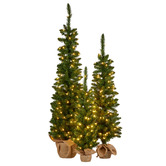 Enchanted &amp; Evergreen 3 Piece Noelleve LED Christmas Tree Set