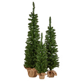 Enchanted &amp; Evergreen 3 Piece Noelleve LED Christmas Tree Set