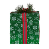 Enchanted &amp; Evergreen Firenza Elf in a Gift LED Christmas Ornament