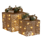 Enchanted &amp; Evergreen 2 Piece Rich LED Gift Box Christmas Ornament