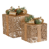 Enchanted &amp; Evergreen 2 Piece Rich LED Gift Box Christmas Ornament