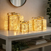 Enchanted &amp; Evergreen 3 Piece Felicia LED Christmas Present Ornament Set