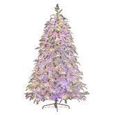 Enchanted &amp; Evergreen Riley Crystal Snow LED Christmas Tree