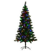 Enchanted &amp; Evergreen Taffy Lakeland Pine LED Christmas Tree