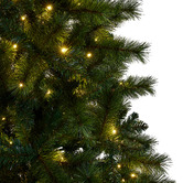 Enchanted &amp; Evergreen Taffy Lakeland Pine LED Christmas Tree