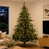 Enchanted &amp; Evergreen Largo Bellewood Fir LED Christmas Tree
