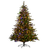 Enchanted &amp; Evergreen Largo Bellewood Fir LED Christmas Tree