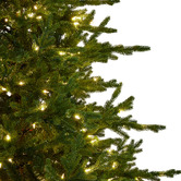 Enchanted &amp; Evergreen Largo Bellewood Fir LED Christmas Tree